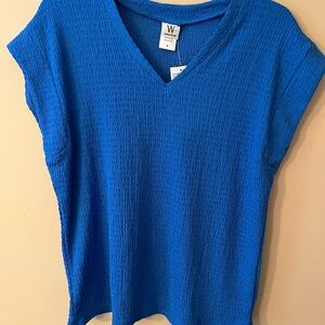 Women's Blue V-Neck Top